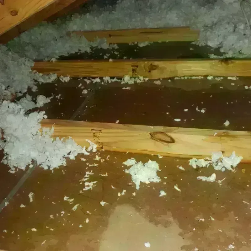 Attic Water Damage in Goffstown, NH